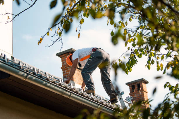 Best Flat Roof Repair Services  in Kalamazoo, MI