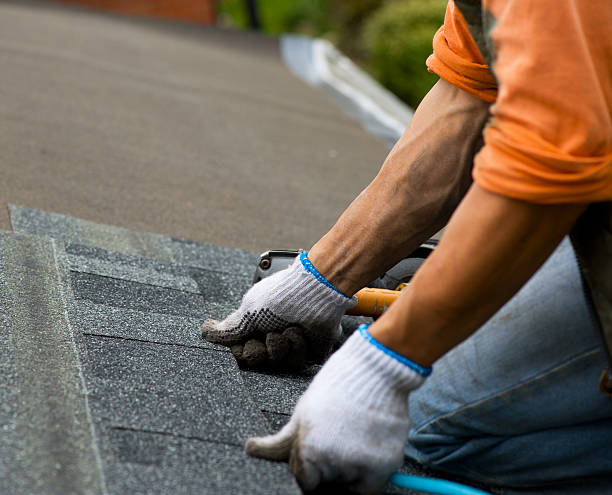 Best Roof Leak Repair  in Kalamazoo, MI