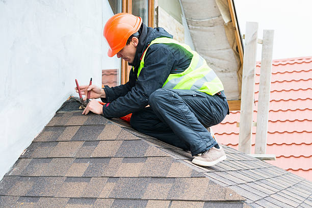 Best Sealant for Roof  in Kalamazoo, MI